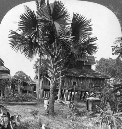 Casa nativa costruita su palafitte, Bhamo, Birmania, 1908 da Stereo Travel Co