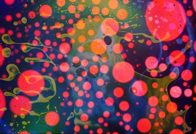 Mostro Splatter, 2024 da Steve Pavlovsky