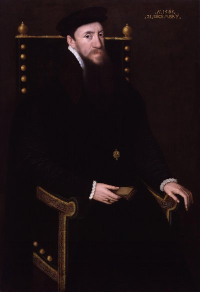 Henry Fitzalan, 12° conte di Arundel da Steven van der Meulen