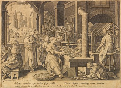 Estrazione della seta Vermis sericus, dopo il 1640 da Stradanus