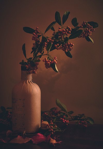 Frutti di bosco rustici in bottiglia da Stuart Williams