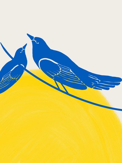  da Studio Palette