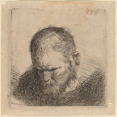 Uomo barbuto che guarda in basso da Studio of Rembrandt van Rijn