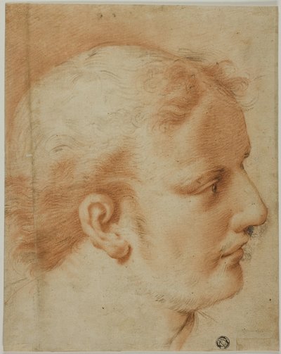 Testa di giovane uomo di profilo a destra da Style of Benedetto Luti