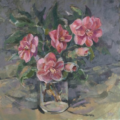 Camelie da Sue Wales
