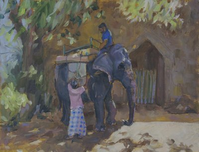 Elefante, Sri Lanka, 2015 da Sue Wales