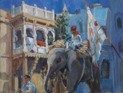 Elefante a Jodhpur da Sue Wales