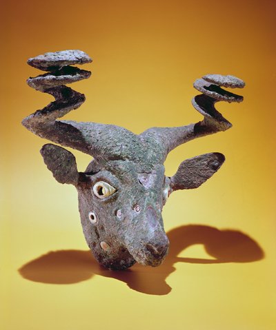 Testa di toro, dall