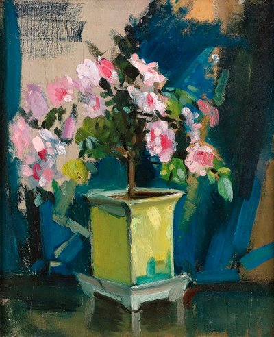 Camellia, c.1920 da Sunderland Rollison