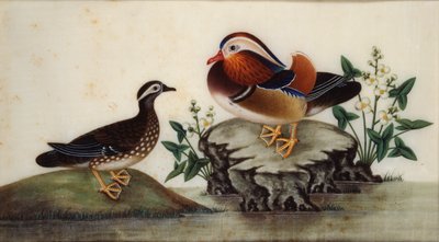 Dipinto - Due anatre e piante acquatiche fiorite vicino a uno stagno da Sunqua
