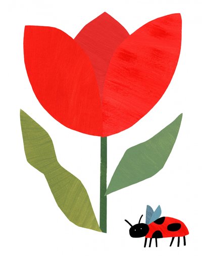 Tulipano rosso e coccinella da Susan Black