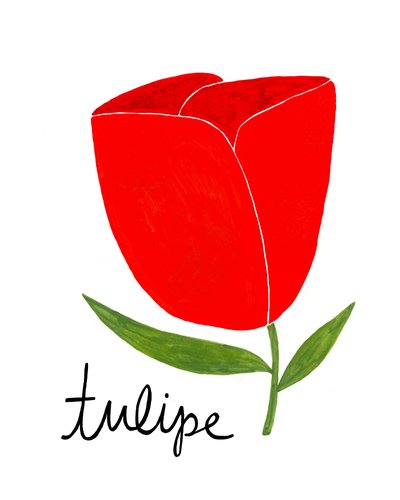 Tulipano rosso brillante da Susan Black