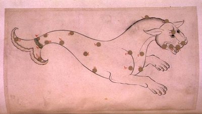Costellazioni: Cetus, la balena da Suvar Al Kavakib