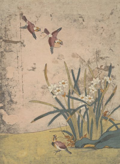 Uccelli e narcisi da Suzuki Harunobu
