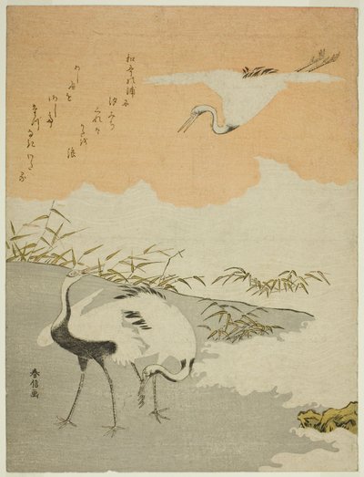 Gru sulla Riva del Mare da Suzuki Harunobu