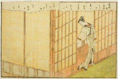 Illustrazione a doppia pagina dal vol. 1 di "Libro illustrato dei broccati di primavera (Ehon haru no nishiki)" da Suzuki Harunobu