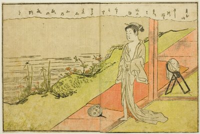 Illustrazione a Doppia Pagina dal Vol. 1 di "Libro Illustrato dei Broccati di Primavera (Ehon haru no nishiki)" da Suzuki Harunobu