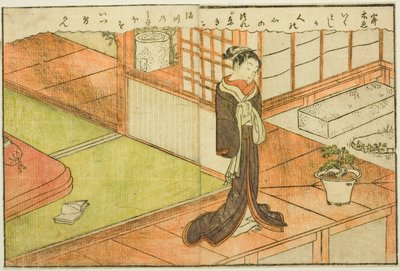 Illustrazione a doppia pagina dal Vol. 2 di "Libro illustrato dei broccati di primavera" da Suzuki Harunobu