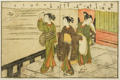 Illustrazione a doppia pagina dal Vol. 2 di "Libro illustrato dei broccati di primavera (Ehon haru no nishiki)" da Suzuki Harunobu