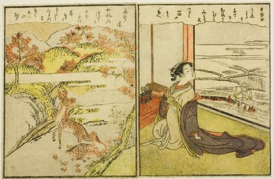 Pagine dai Vol. 1 e 2 di "Libro Illustrato dei Broccati di Primavera (Ehon haru no nishiki)" da Suzuki Harunobu