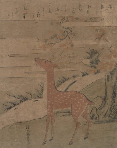 Il grido del cervo da Suzuki Harunobu
