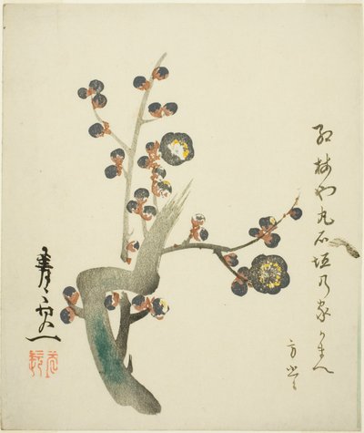 Ramo di susino rosso in fiore da Suzuki Kiitsu