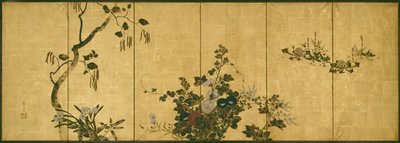 Fiori d