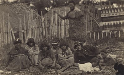 Nel Pawhakiro Pa, Hawkes Bay, Nuova Zelanda, c.1865 da Swan and Wrigglesworth