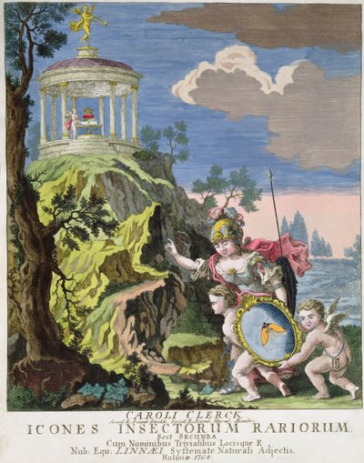 Frontespizio di Icones Insectorum Rariorum di C. Clerck, Svezia, 1764 da Swedish School