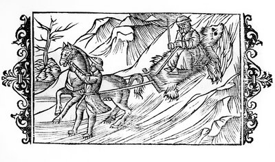 Cavallo che trascina sulla neve una pelle d