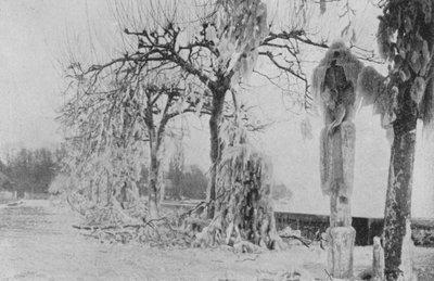 Ai Paquis a Ginevra, inverno 1896 da Swiss Photographer