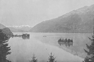 Iseltwald, Lago di Brienz da Swiss Photographer