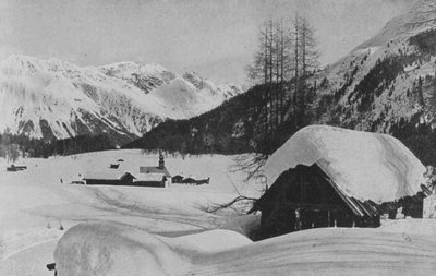 Laret vicino a Davos da Swiss Photographer