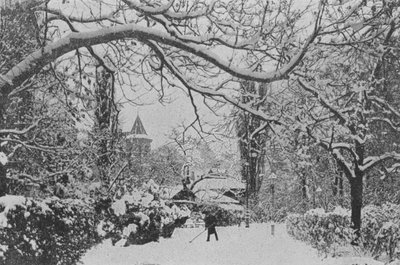 Neuchatel, Il Giardino inglese da Swiss Photographer