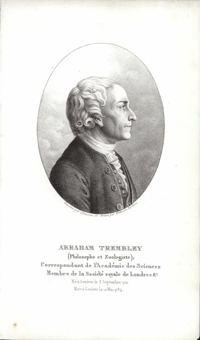 Abraham Trembley da Swiss School