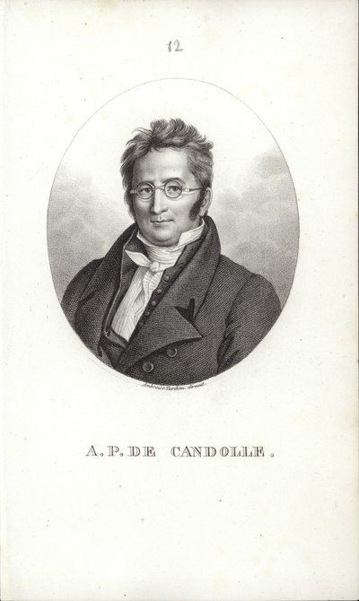Augustin Pyramus de Candolle da Swiss School