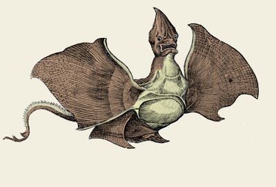 Mostro marino fantastico, illustrazione da 