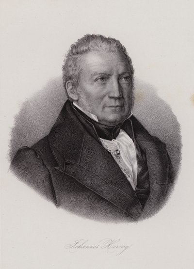 Johannes Herzog Von Effingen, politico e imprenditore svizzero (incisione) da Swiss School