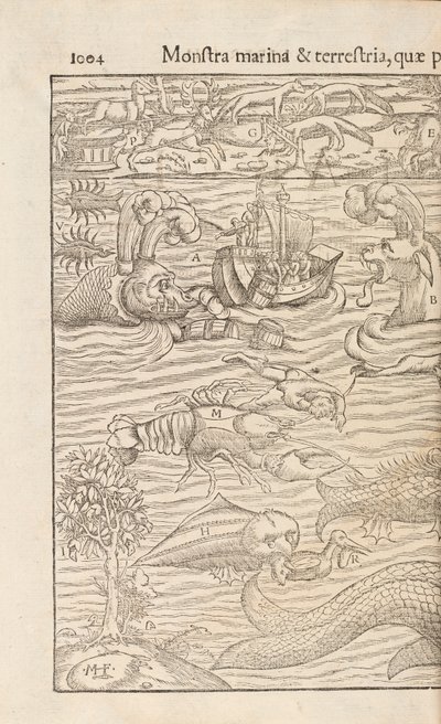 Pagina 1004 da Cosmographiae Universalis di Sebastian Muenster, Basilea, 1572 da Swiss School