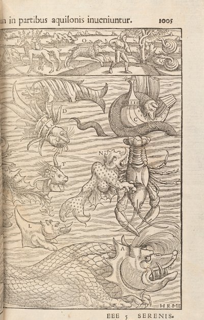 Pagina 1005 da Cosmographiae Universalis di Sebastian Muenster, Basilea, 1572 da Swiss School