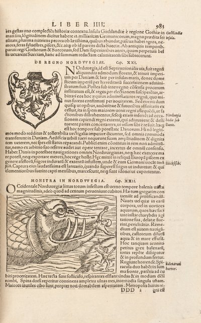 Pagina 983 da Cosmographiae Universalis di Sebastian Muenster, Basilea, 1572 da Swiss School