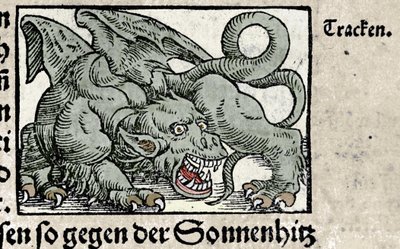 Rappresentazione di un drago: incisione da 