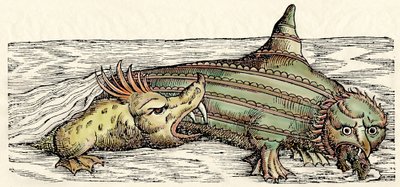 Creature marine, illustrazione da 