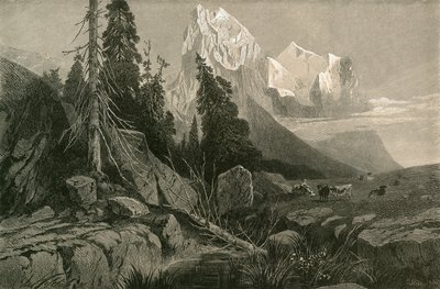 Il Wellhorn e il Wetterhorn da Swiss School