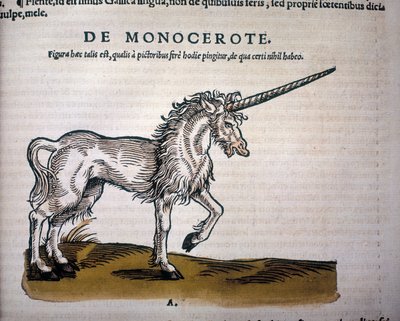 Unicorno, illustrazione da 