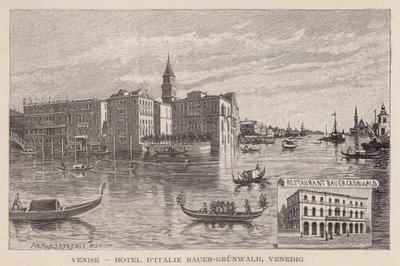 Venezia, Hotel d