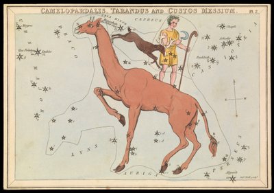 Camelopadalis, Tarandus e Custos Messium, c.1825 da Sydney Hall