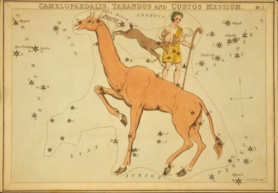 Camelopardalis, Tarandus e Custos Messium, Illustrazione da 