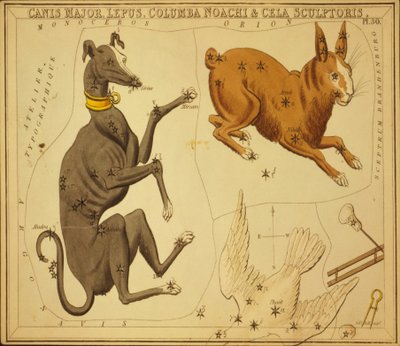 Canis Major, Lepus, Columba Noachi & Cela Sculptoris, Illustrazione da 