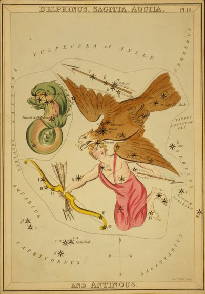 Delphinus, Sagitta, Aquila e Antinous, Illustrazione da 